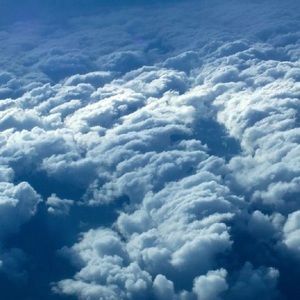 Meet your Posher, Rozlin